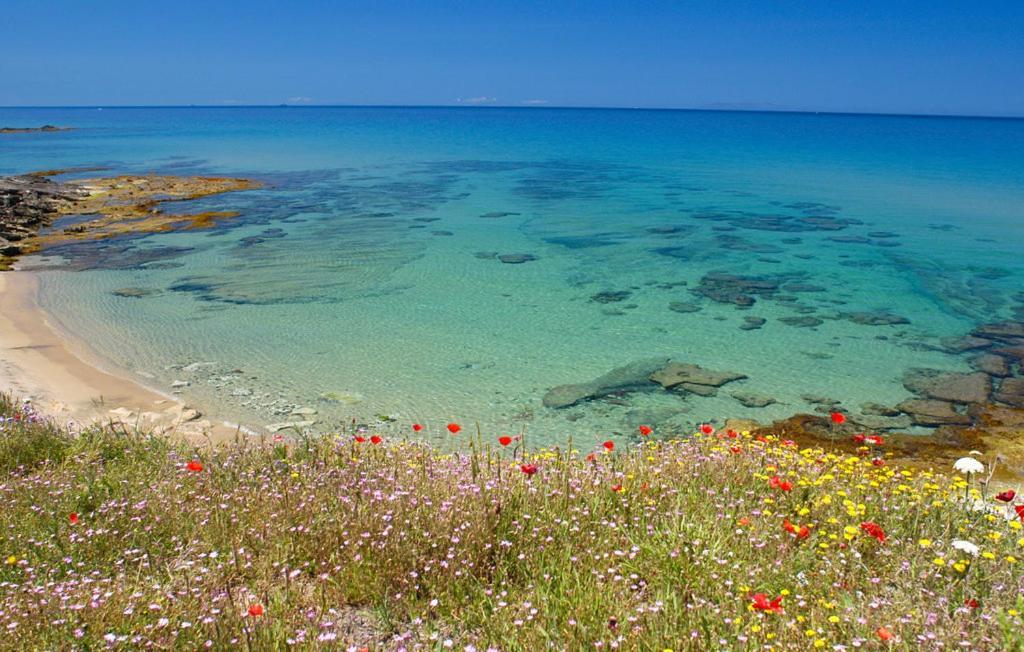 קאסטלסארדו Appartamento Per Vacanza מראה חיצוני תמונה